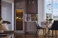 Top 10 Wine Coolers for Your Home in 2024: Expert Recommendations for Every Budget