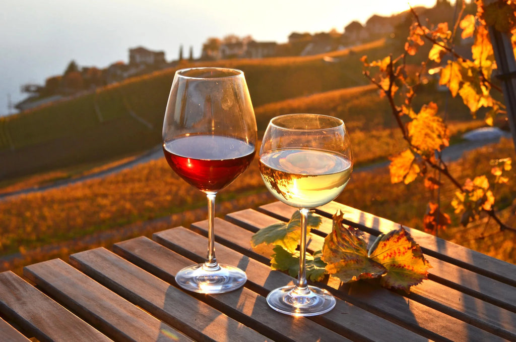 Seasonal Wine Selections: Expert Choices for Every Season